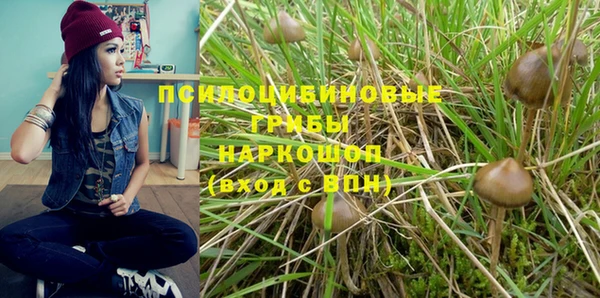 дживик Бугульма